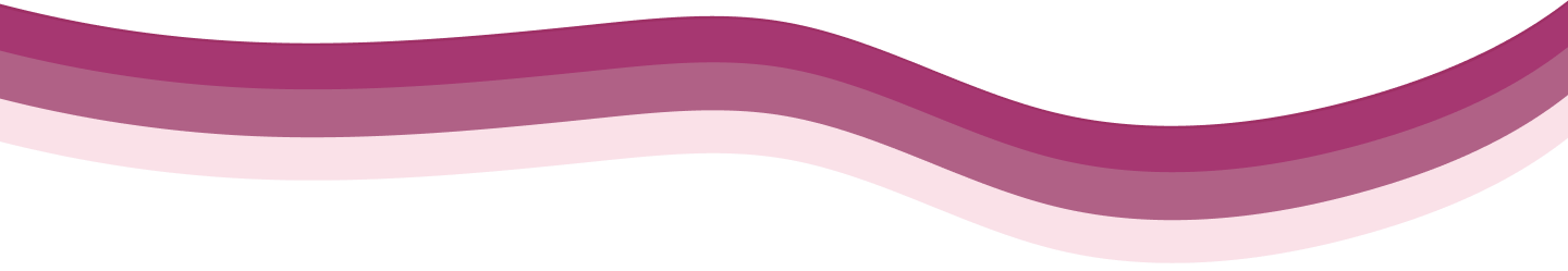 Tokenomics Section Divider