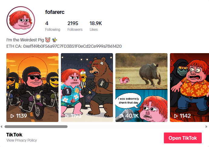 TikTok Profile @fofarerc